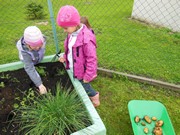 Zahradničíme ve školce